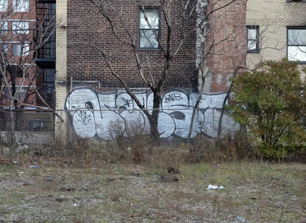 Carousel Image number 4